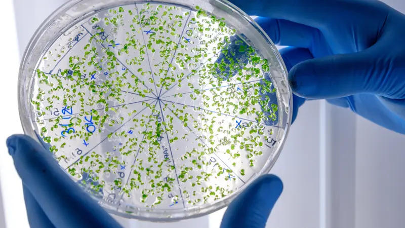 Apa Itu Biofilm? Pengertian, Proses Terbentuk, dan Dampaknya pada Sistem Air