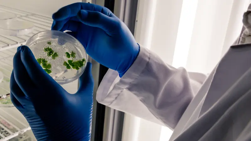 Apa Itu Biofilm? Lapisan Tipis yang Bisa Terbentuk di Tandon dan Pipa Air