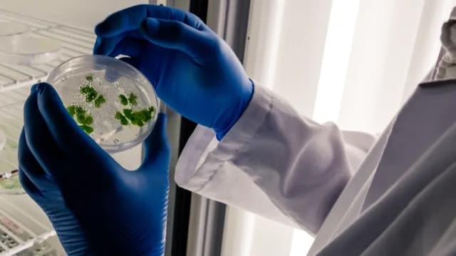 Apa Itu Biofilm? Lapisan Tipis yang Bisa Terbentuk di Tandon dan Pipa Air